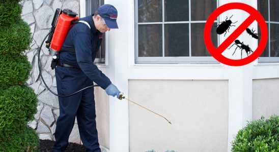 Dodurga Akrep İlaçlama böcek ilaçlama ve haşere kontrolü — ilaclama-tr.com